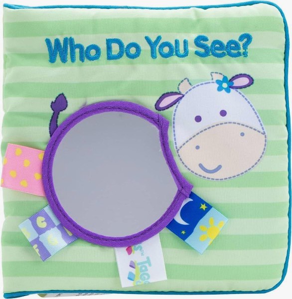 My First Taggies Book