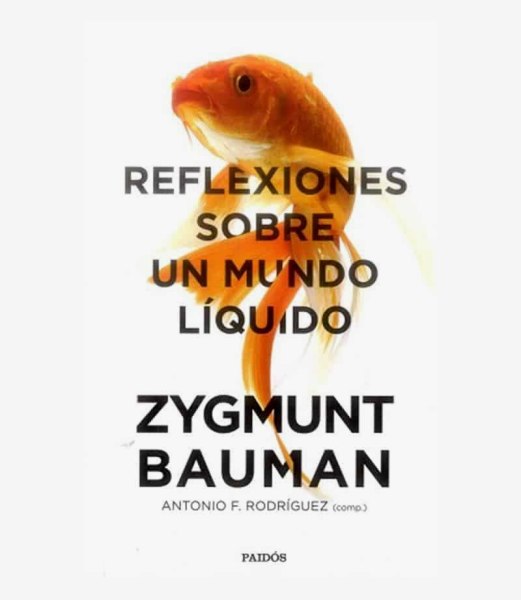 Reflexiones Sobre Un Mundo Liquido