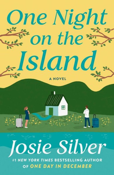 One Night On The Island