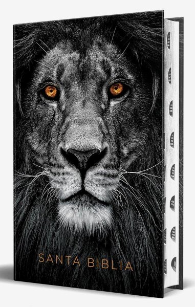 Biblia Rvr 1960 Letra Grande Tamaño Manual, Tapa Dura León De Judá