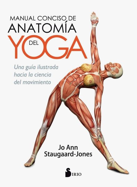 Anatomia Del Yoga