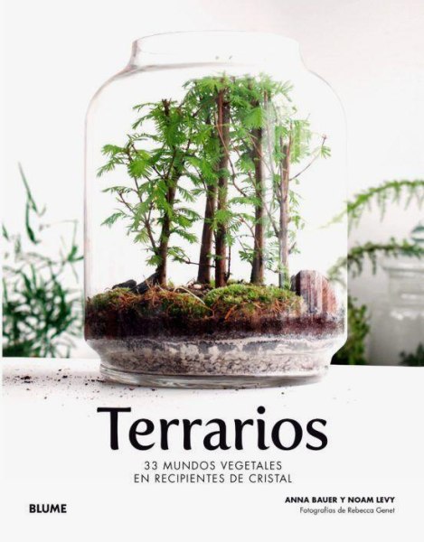 Terrarios 33 Mundos Vegetales En Recipientes De Cristal