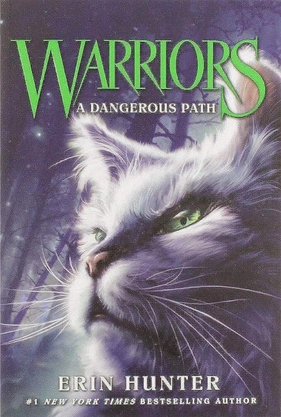 Warriors 5 A Dangerous Path