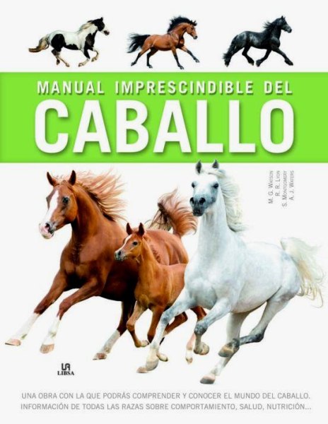 Caballo